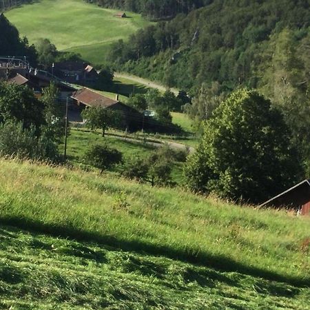 Ferienwohnung Hof Unterer Duerrenberg Langenbruck Esterno foto