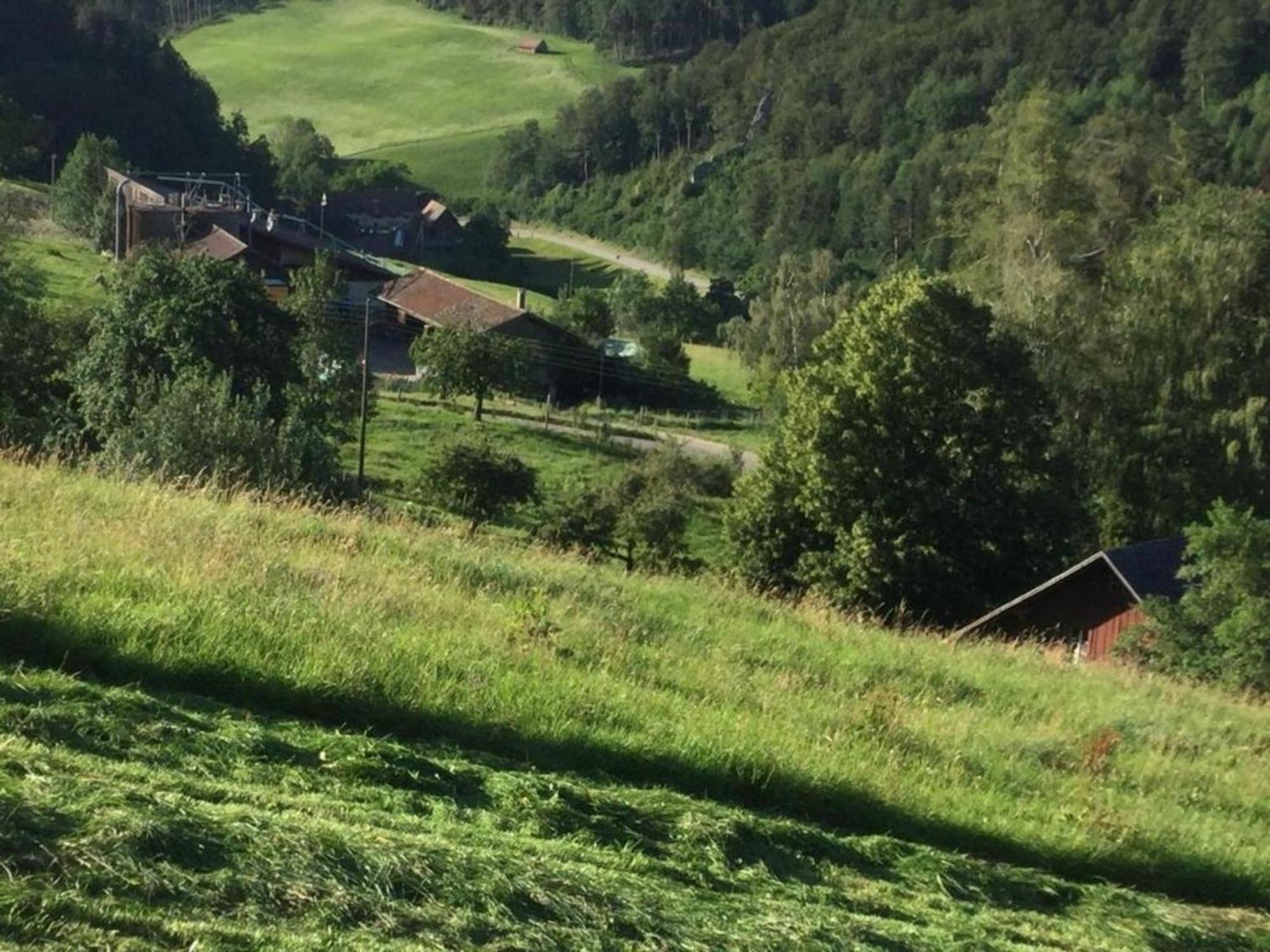 Ferienwohnung Hof Unterer Duerrenberg Langenbruck Esterno foto