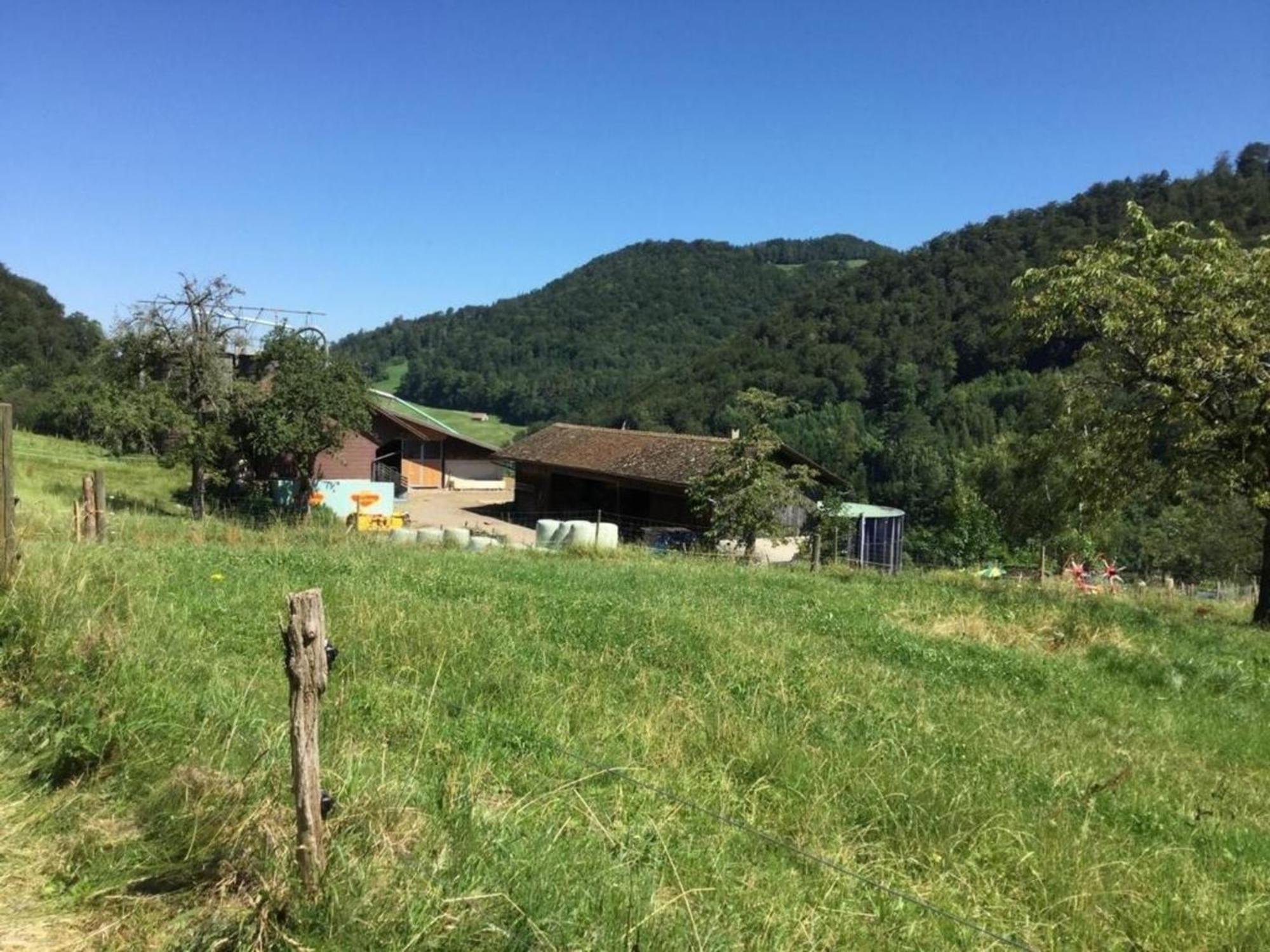 Ferienwohnung Hof Unterer Duerrenberg Langenbruck Esterno foto